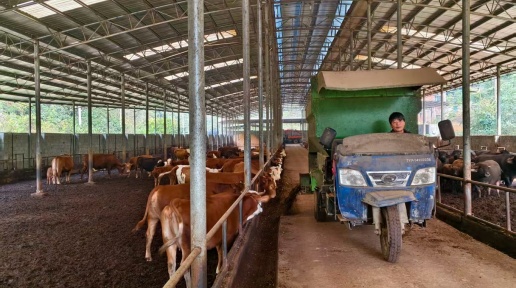 �����ֳ������ݣ�ţ�������������������