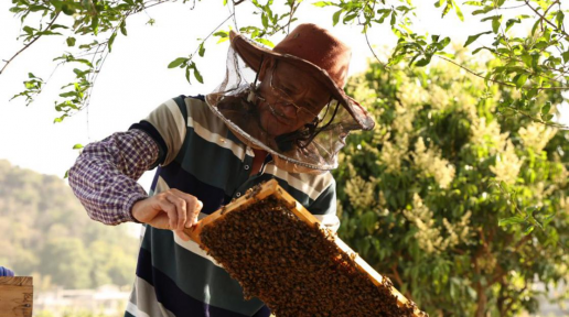 ͥԺ�B(y��ng)�䡰ᄡ������d���^�������������xȫ��pؚ��Ѱ���