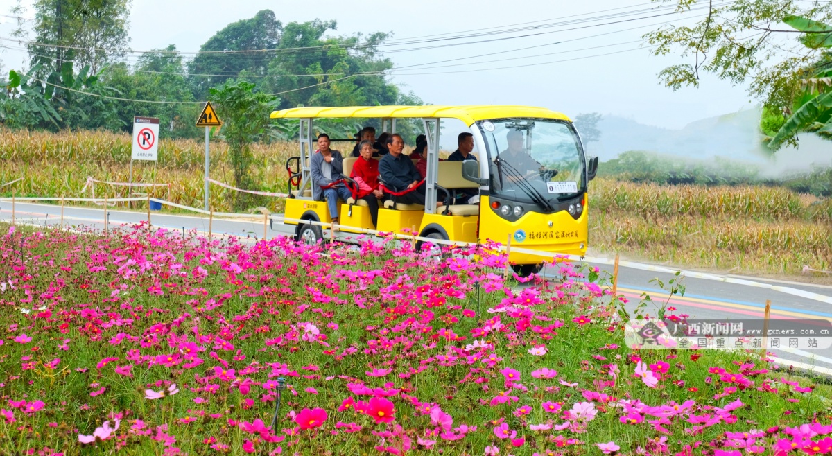 12��12�ս���ͼ