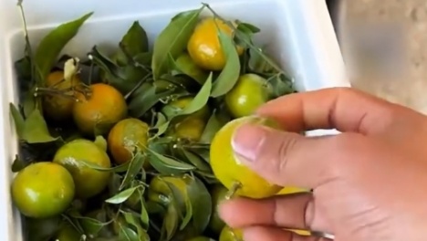 Ȧ�ۣ�����С����޹��������͵���������