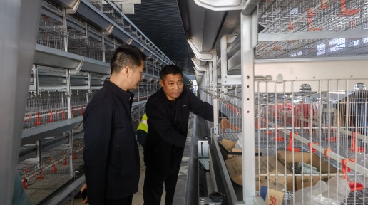 ��ۣ�ǿ�����μල�������ص���Ŀ�����Ч�ƽ�