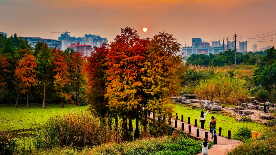 12��13�ս���ͼ