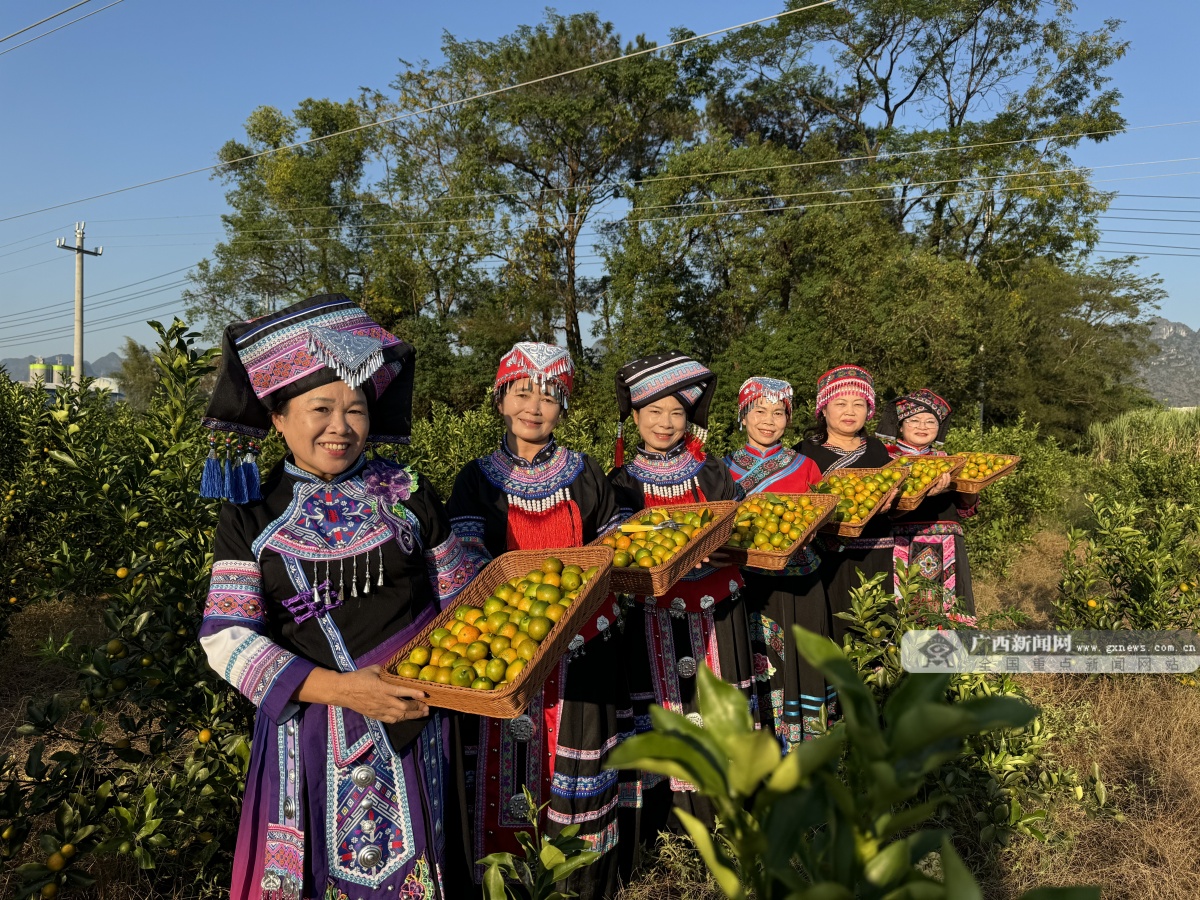 12��13�ս���ͼ