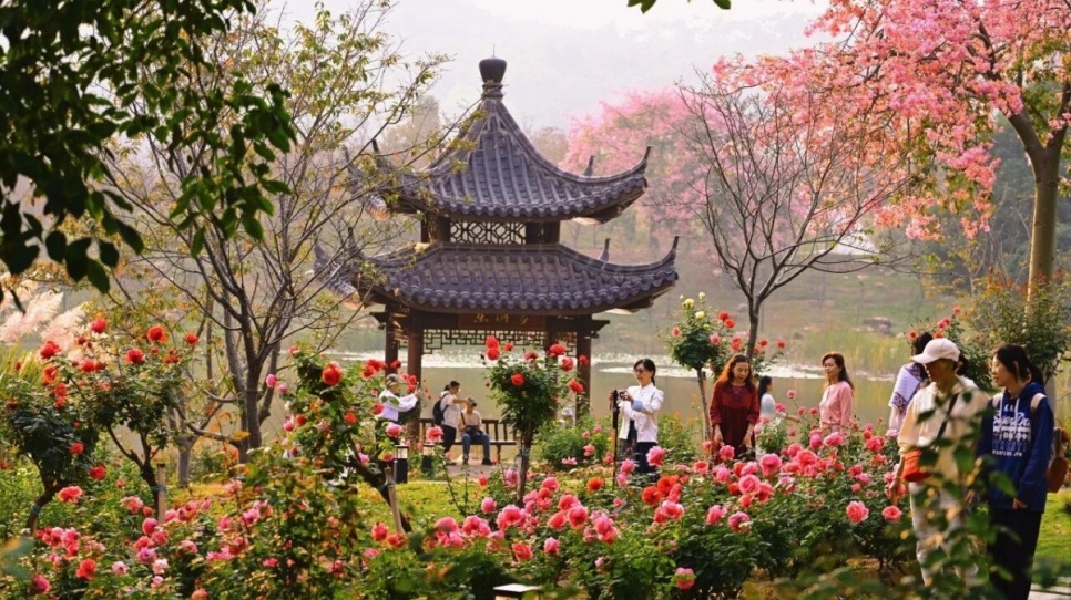 ����ͼ��ح����������ɽ�¼���������ľ��ͬ������