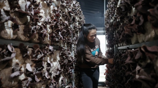 ��������ġ���(j��ng)���㡱����˼�h�A����^(q��)ʳ�þ�����4�f��ëľ��ӭ���ײ���S��