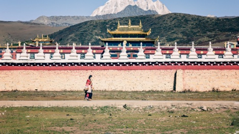 ����ѩɽ�µ�"Сɫ�_"ľ�Ŵ����S��