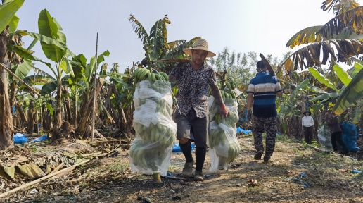 ��ƽ�н����(zh��n)���ٮ����ִ����¸�����耳ס�