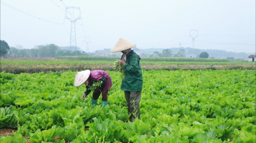 �������r����ƽ��ɳ�(zh��n)�߲˻���ϲ�S��