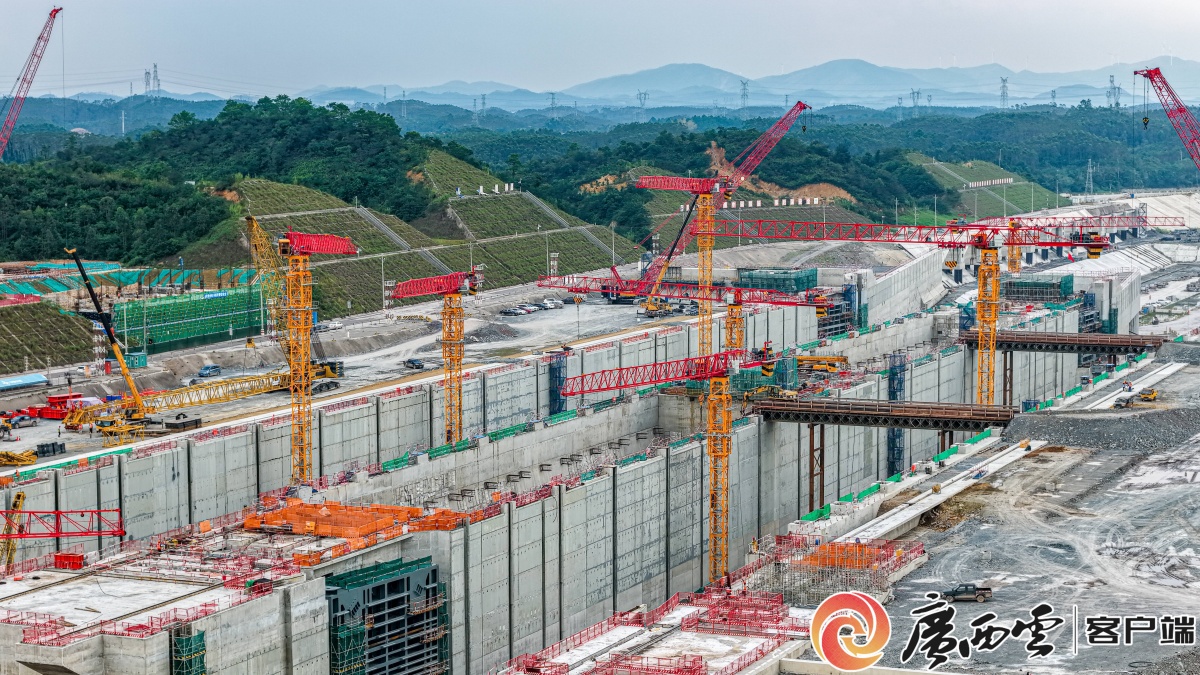 从港口到口岸看西部陆海新通道如何全面铺展壮阔图景(图1)
