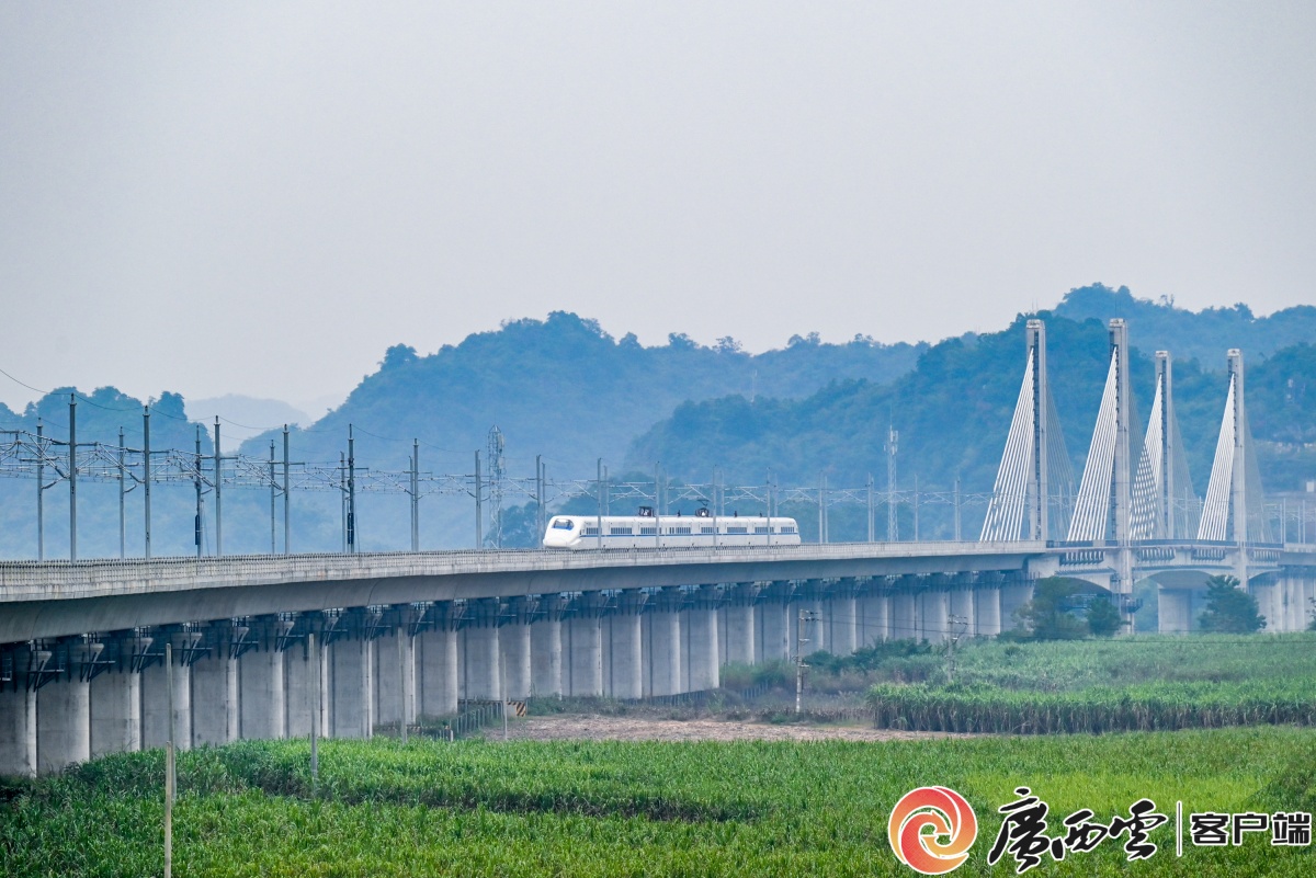 从港口到口岸看西部陆海新通道如何全面铺展壮阔图景(图3)