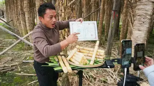 ���ڬF(xi��n)�������υ^(q��)�f��ľ��������������� ���N������ȵ�