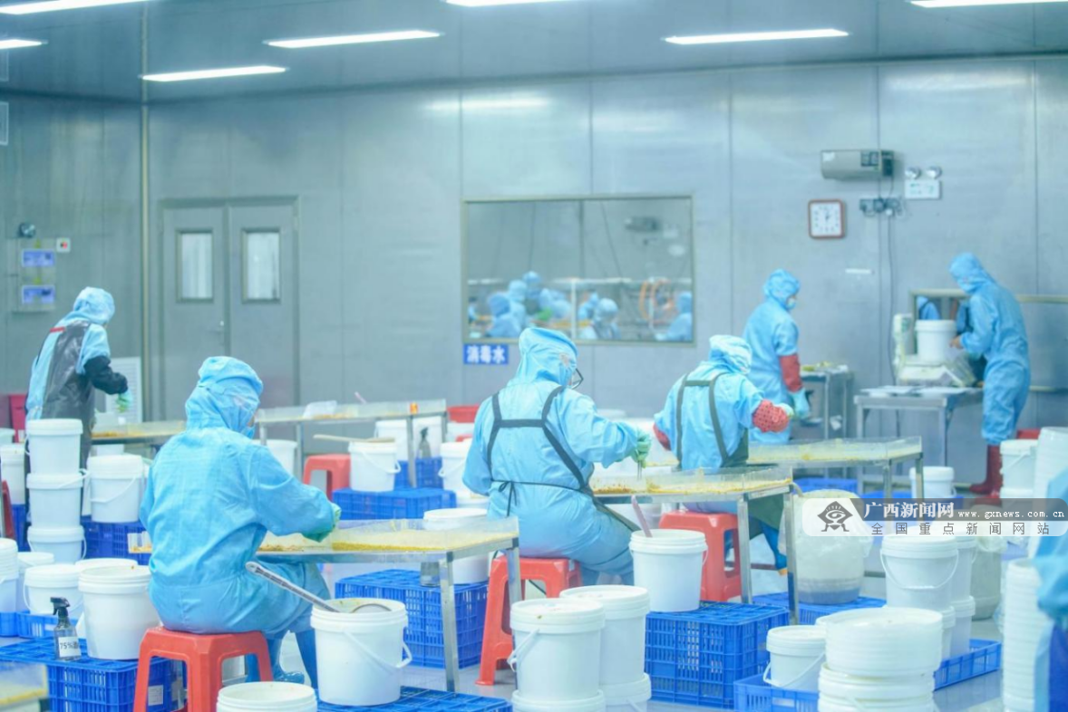 B体育：“北流百香果电商”劳务品牌赋能全产业链升级(图2)