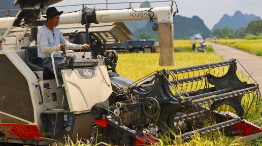 ���������Fţ���Y�G��Ұ �C�ϙCе���ʳ�74% �r�I����֮·Խ��Խ��