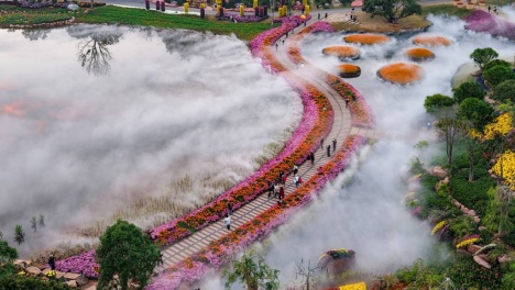 ����ɽ�ջ�չ�������������c����