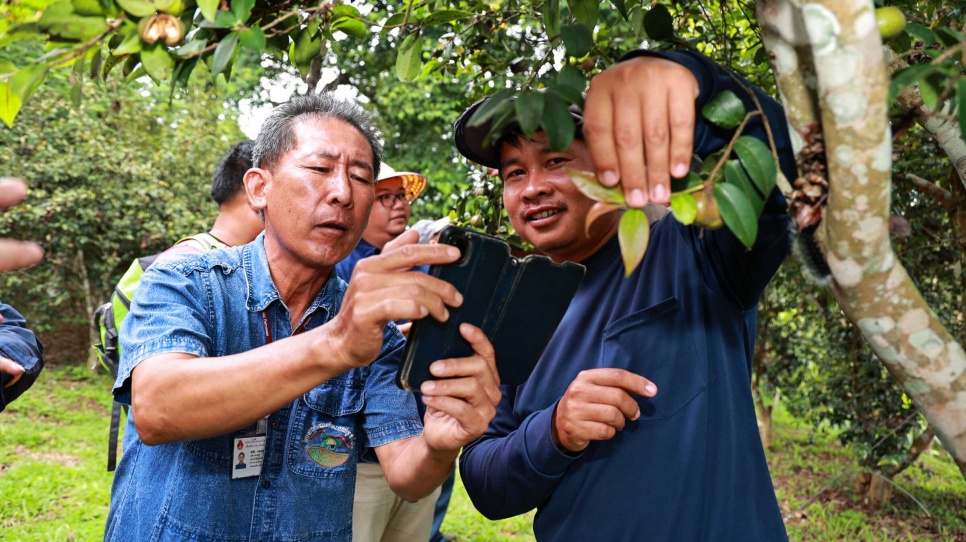 AI���Ͳ��l(w��i)ʿ�����o(h��)���ؾG�ޡ����V���֘I(y��)�Ƽ������(xi��ng)Ŀ�״����x(li��n)�χ�(gu��)��(y��u)�㌍(sh��)�`����