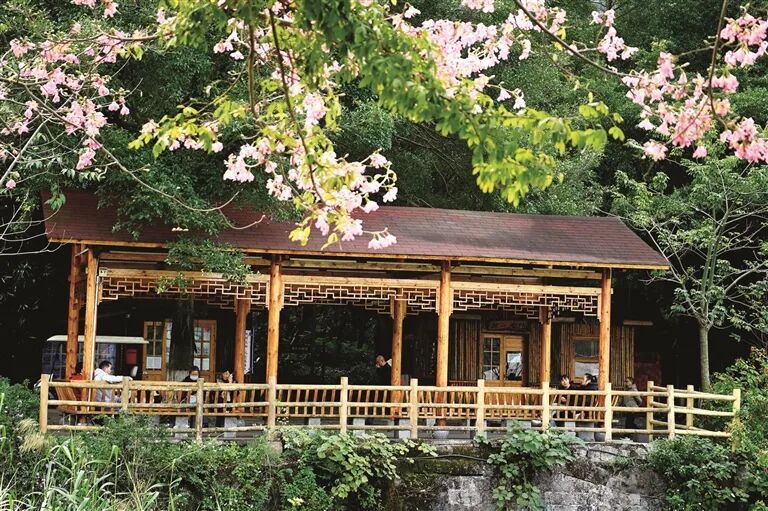 柳州这个公园焕新古风亭廊升级回归!这几个最佳观景位等你来→(图1)