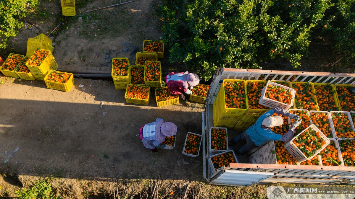 12��18�ս��c(di��n)�D