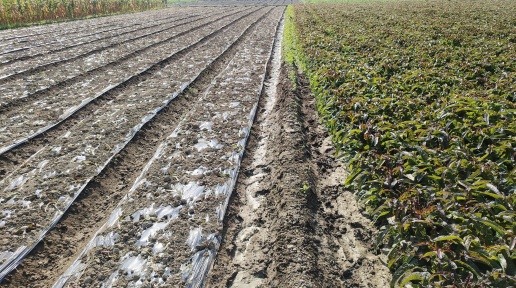 ���ݸߘ˜��r��䁾�����·