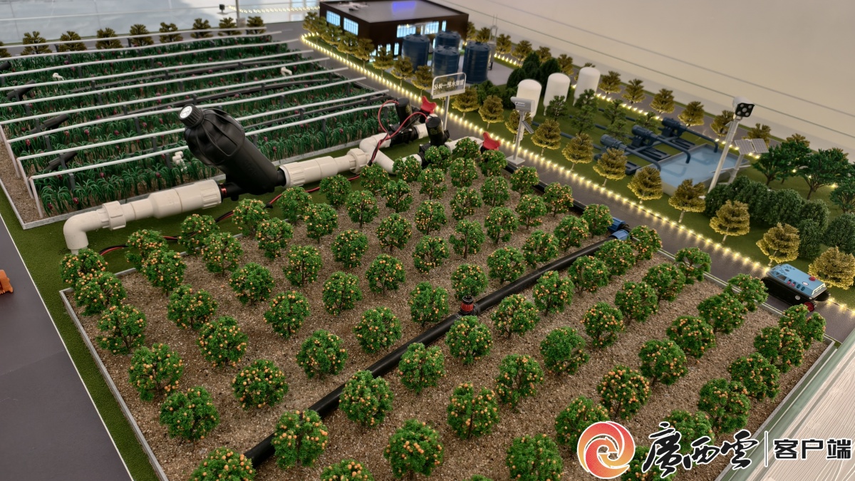 2025年广西一般公共预算收入同比增长46%产业稳步转型筑牢财政收入增长根基(图2)