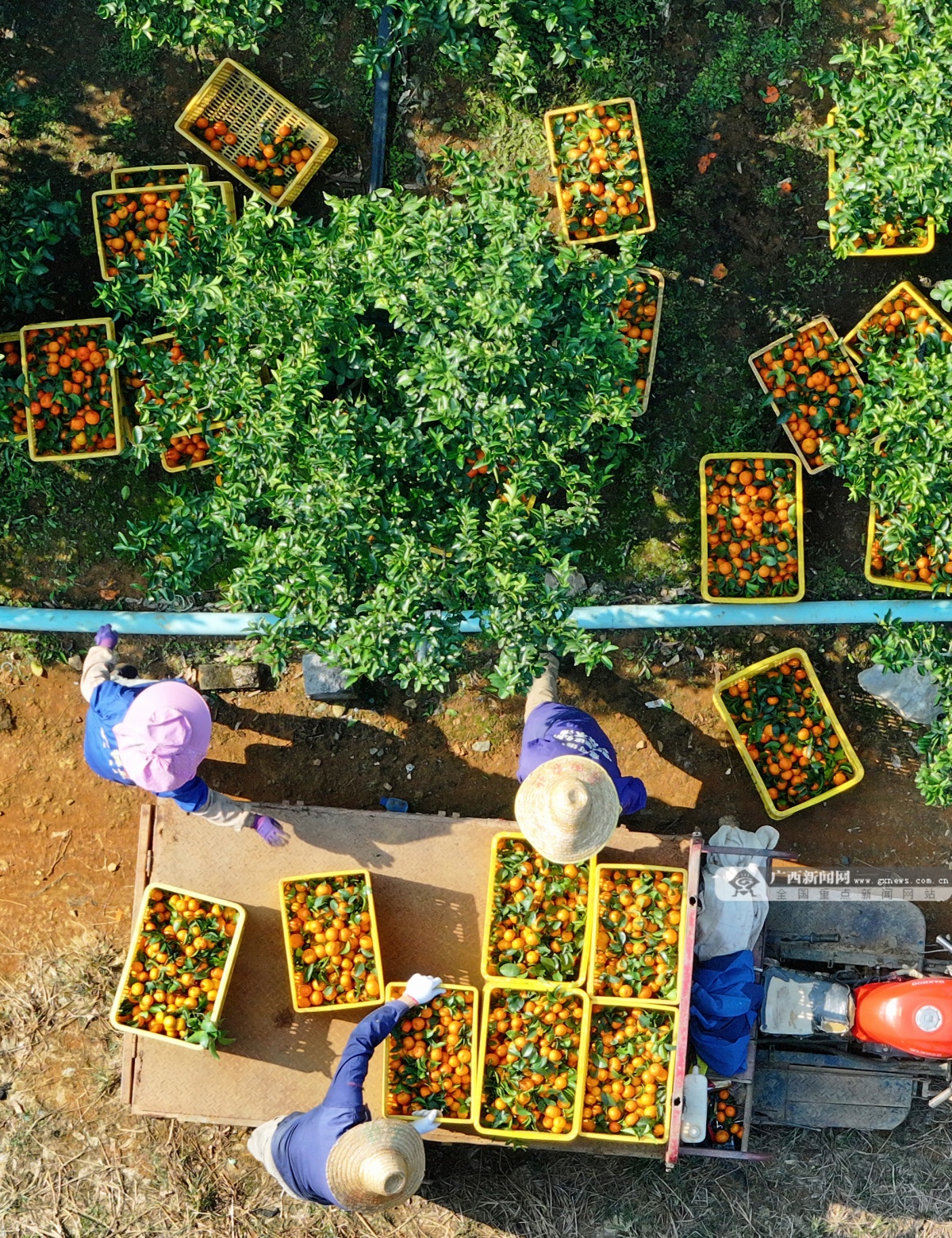 12��19�ս��c�D