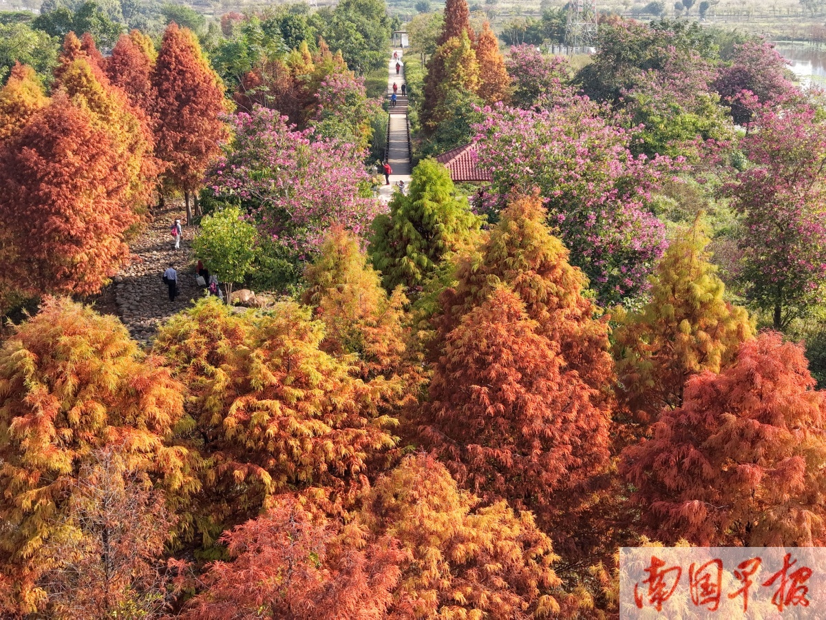 12��19�ս��c�D