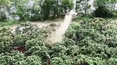 AI廣西 AI中國 AI東盟·群星記丨你用滴滴打車 我用滴滴打藥