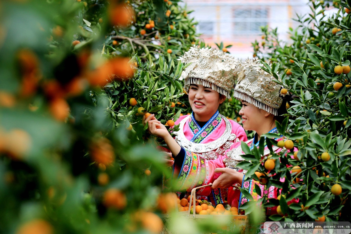 12��22�ս��c�D