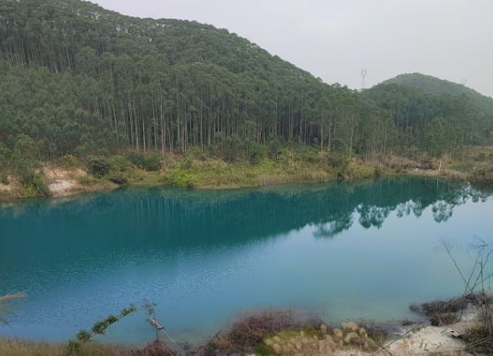 钦州版“三门海”意外走红，大批网友涌入！村民：就两个野塘……
