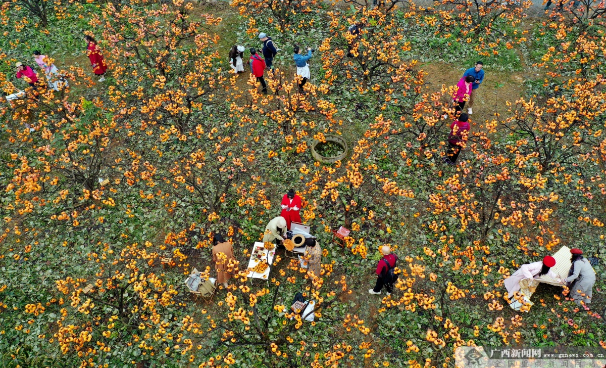 12��22�ս��c�D