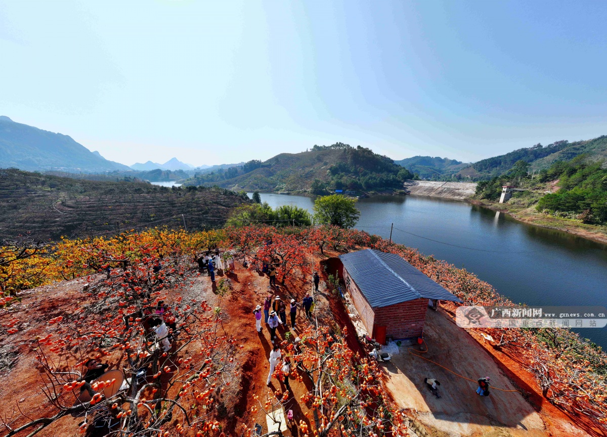 12��24�ս��c�D