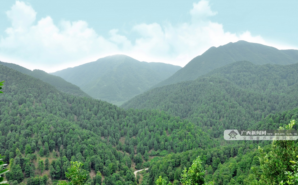 12��25�ս��c(di��n)�D