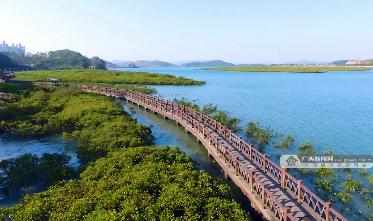 12��25�ս��c�D