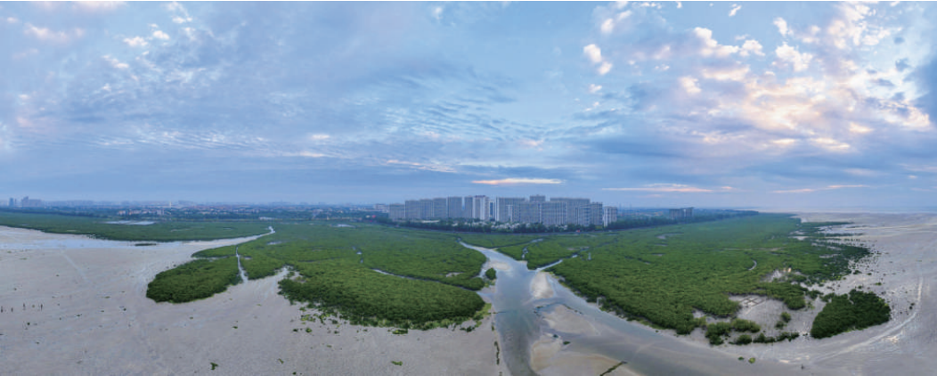 12��25�ս��c(di��n)�D