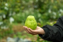 �����֣������գ��ӳذ������ֺ����ҹ����ļ�