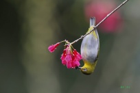 ��Ѯ��������￴����Խ�߾��·羰