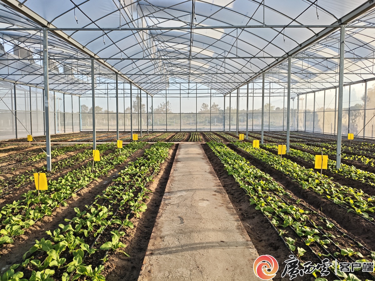 合辑丨广西日报“人工智能”专版 总第09期(图11)