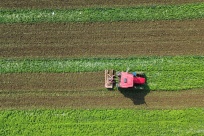 �����ٷ��գ���������������ũ����ҵæ��ͣ