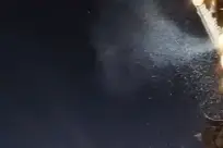 ��Ƶح���������������ڡ�ѩ���п���