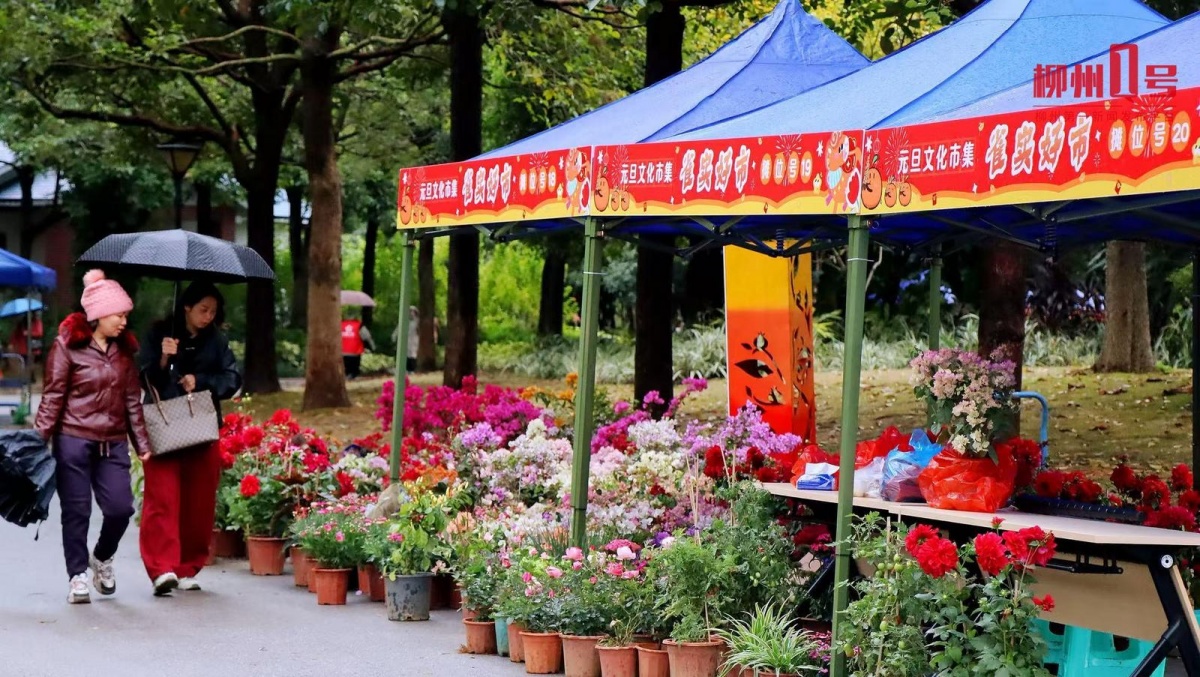 太会玩！柳州人把元旦过成了狂欢节氛围感拉满(图4)