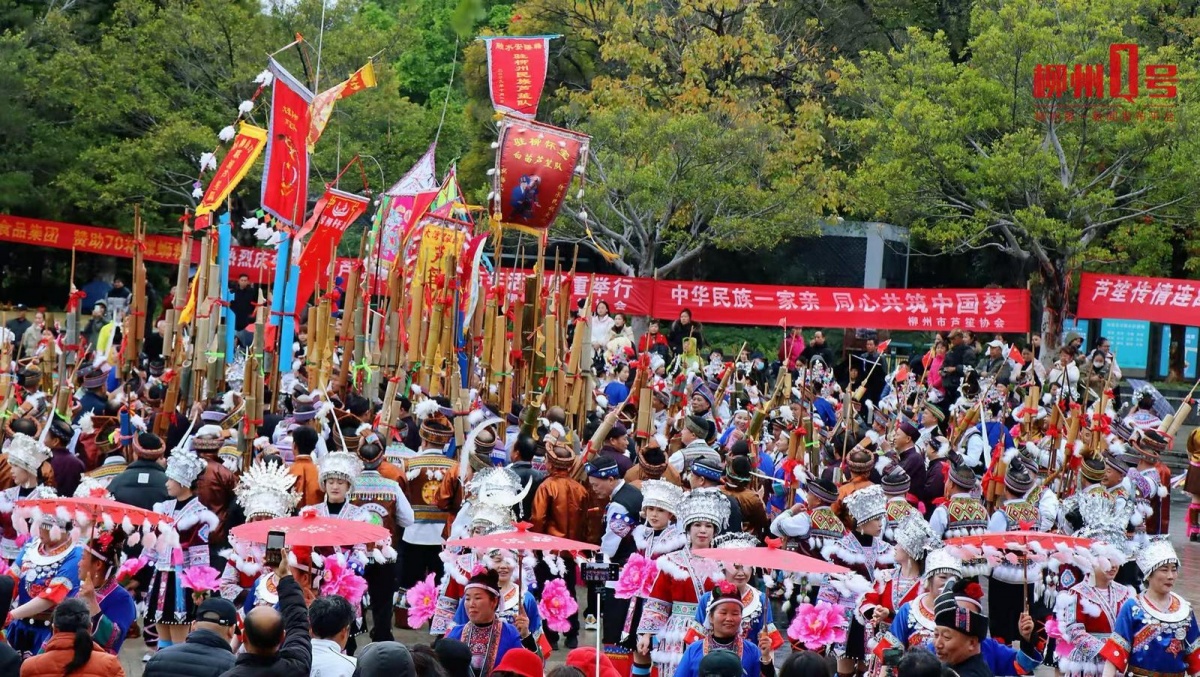 太会玩！柳州人把元旦过成了狂欢节氛围感拉满(图3)