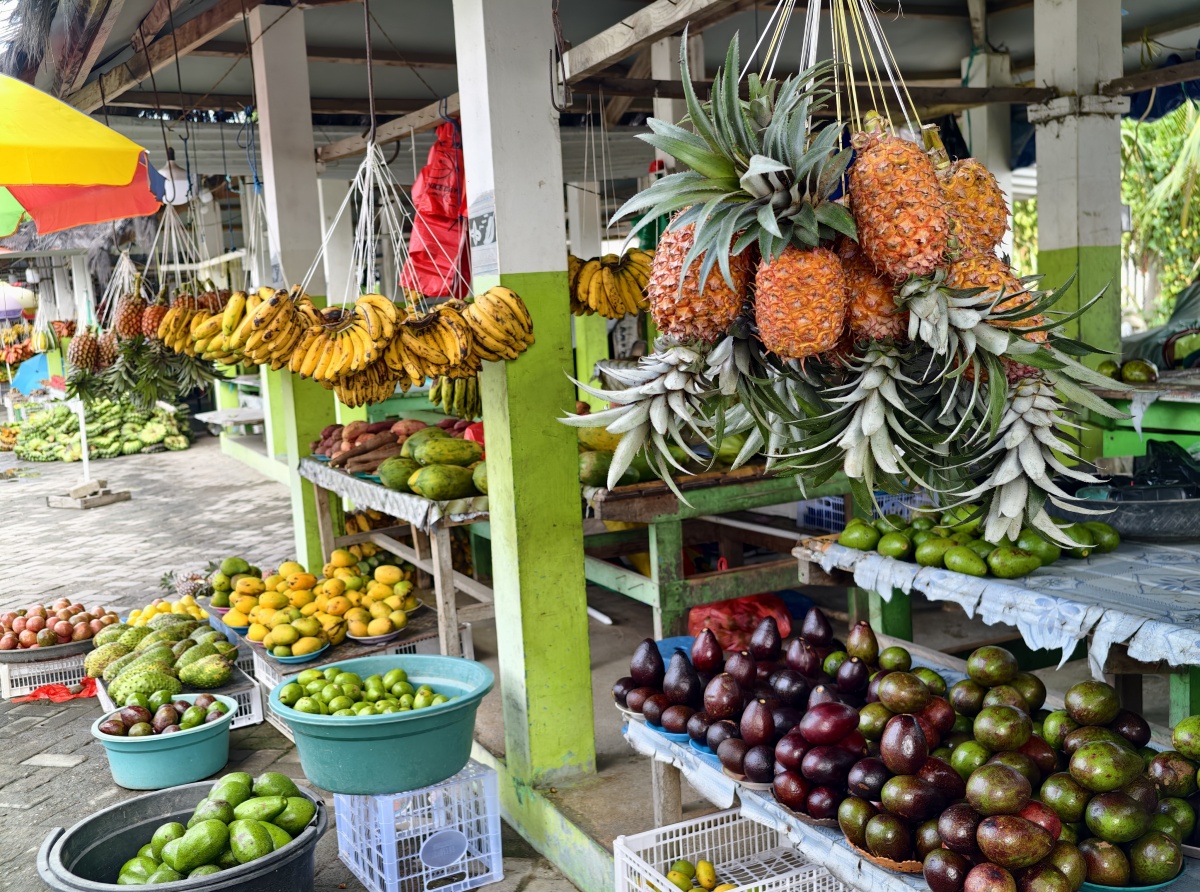 何问西东跨越赤道的握手丨广西国际传播中心（广西日报社）与东帝汶国家通讯社联合采访纪实(图9)