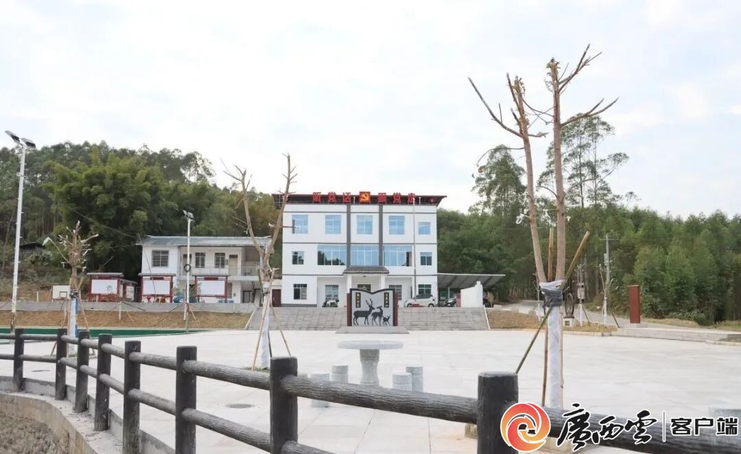 游客60万人次+1200万元旅游收入!象州罗秀镇农文旅融合全域出彩(图17)