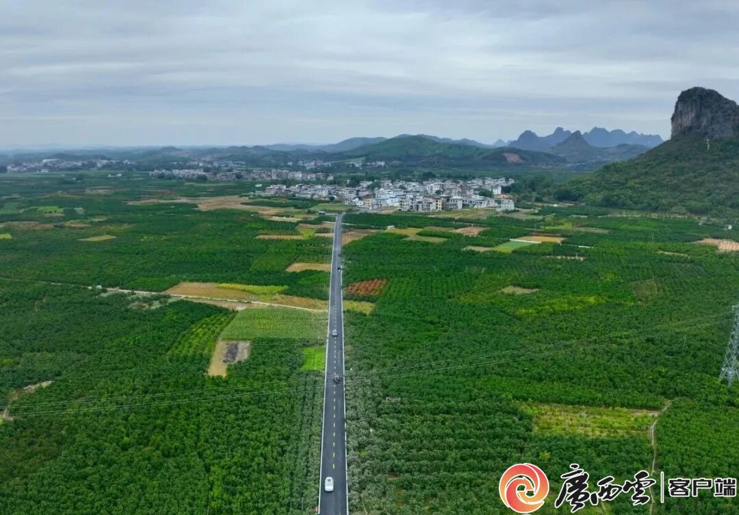 游客60万人次+1200万元旅游收入!象州罗秀镇农文旅融合全域出彩(图11)