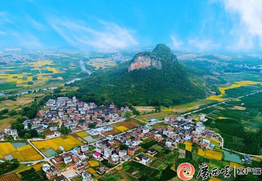 游客60万人次+1200万元旅游收入!象州罗秀镇农文旅融合全域出彩(图5)