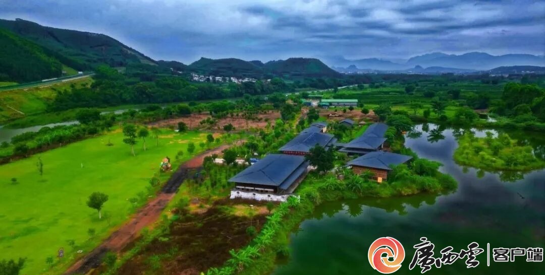 游客60万人次+1200万元旅游收入!象州罗秀镇农文旅融合全域出彩(图12)