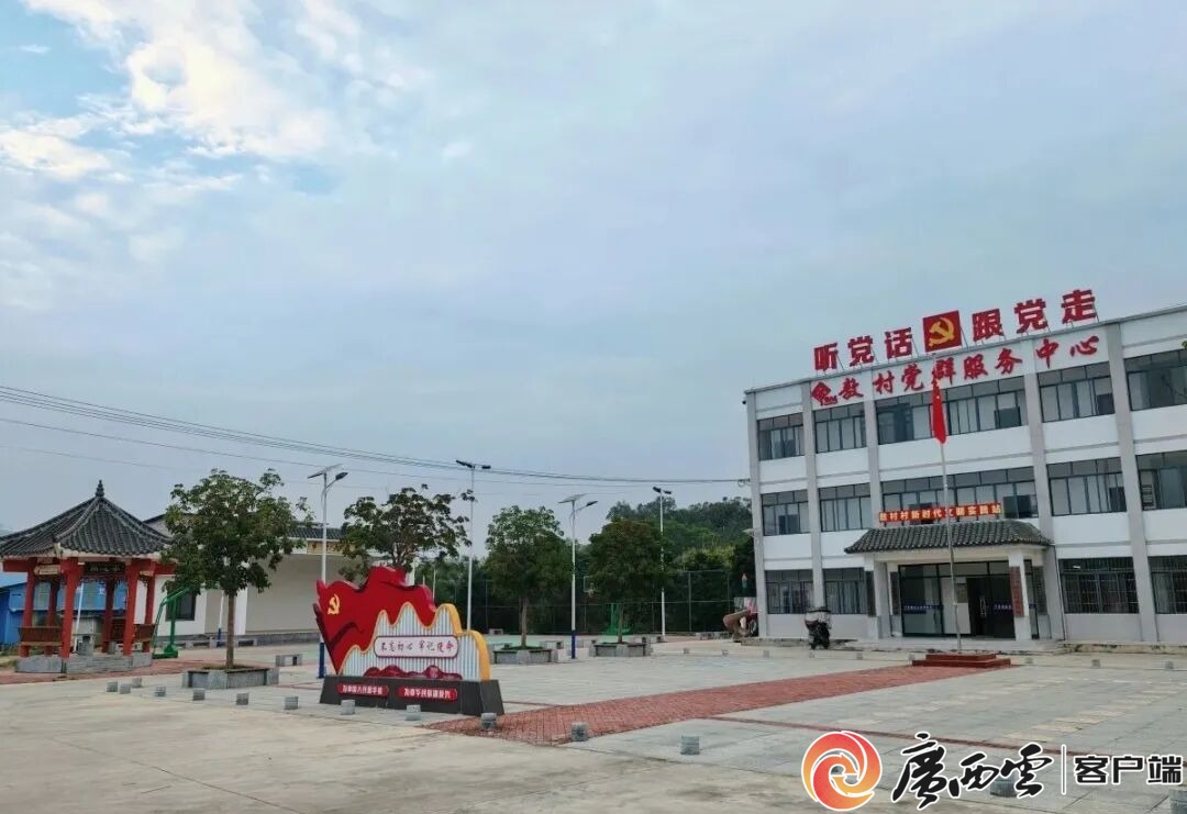 游客60万人次+1200万元旅游收入!象州罗秀镇农文旅融合全域出彩(图16)