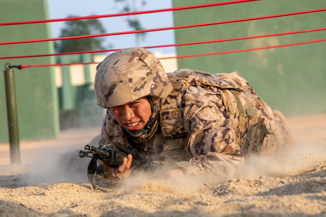 ֱ���侯����֧�Ӷ���ʵս����