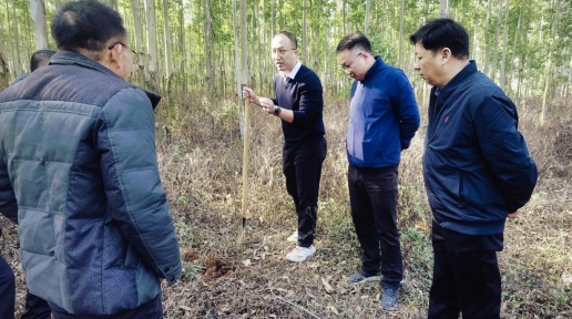 ���΅^ָ���M��֧�У����������^�lչ���½����a�I