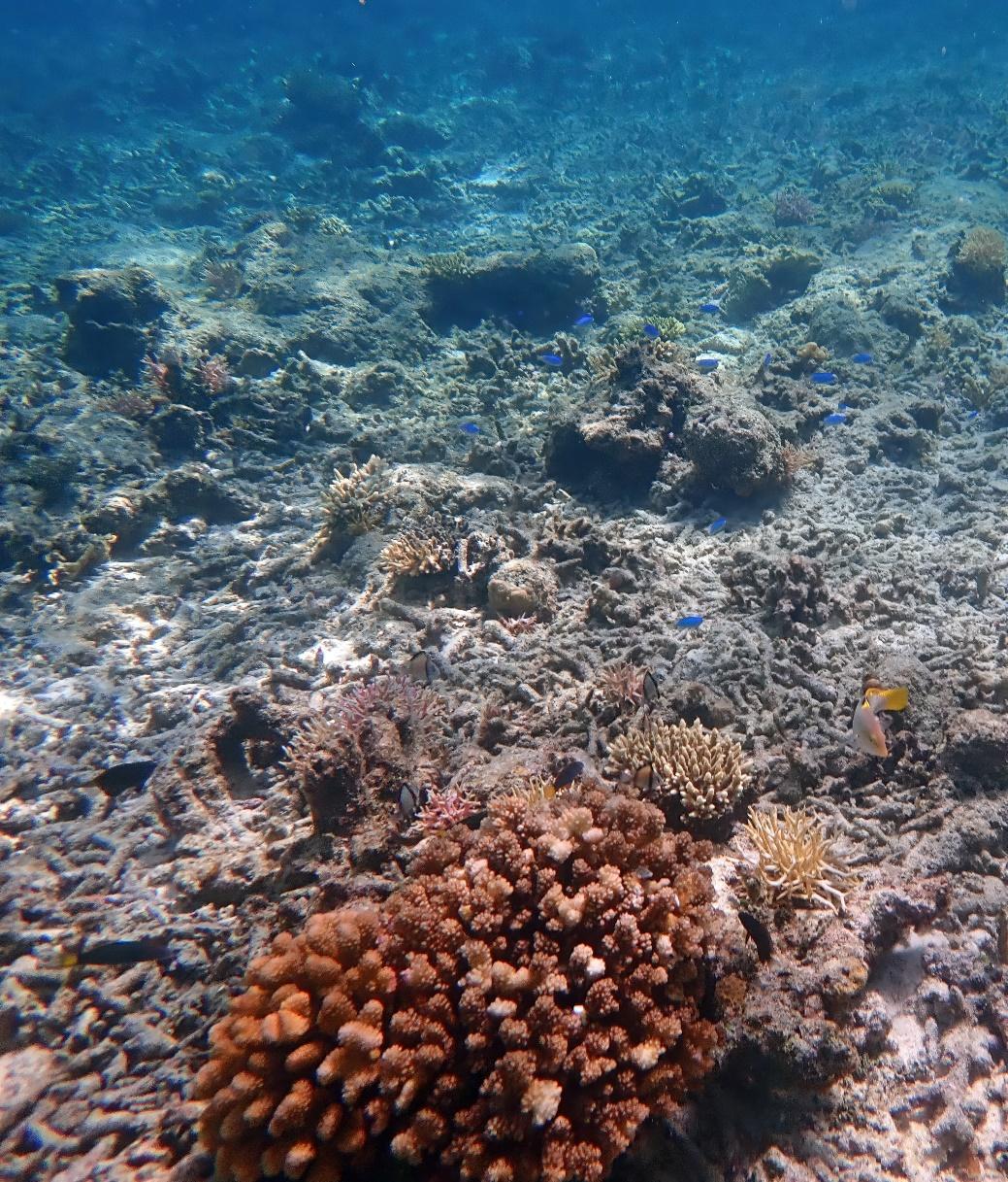 Im（中国体育）：不止是破纪录：多套中国自主及国际数据首次联合呈现2025年海洋变暖全景(图4)