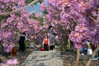 ���ˣ����ˣ���ɫ��Ƭ����������ѹ�����